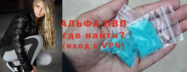 PSILOCYBIN Богданович
