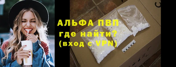 PSILOCYBIN Богданович