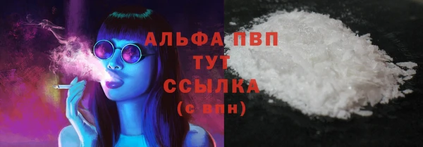 PSILOCYBIN Богданович