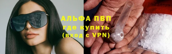 PSILOCYBIN Богданович